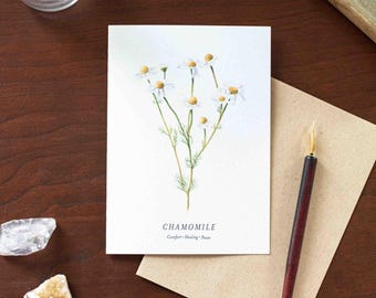 Chamomile Note Card