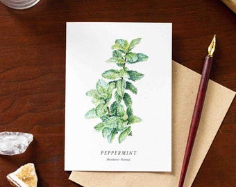 Peppermint Note Card
