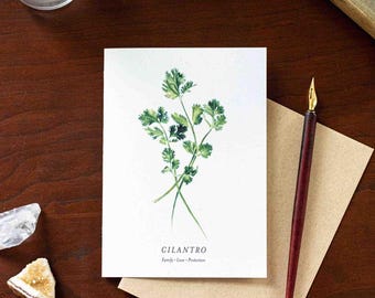 Cilantro Note Card