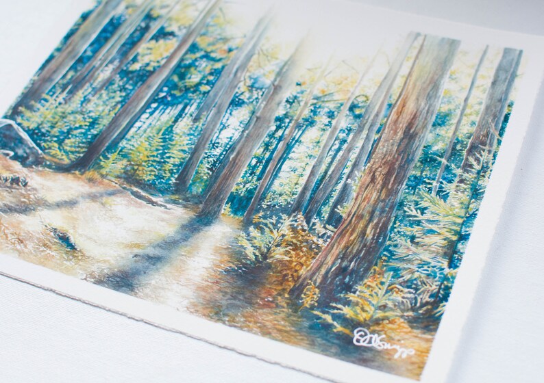 Download 11 X 9 Watercolor Print Wv Landscape Print Dolly Sods Forest Shadow Art Collectibles Painting Deshpandefoundationindia Org