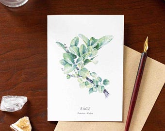 Sage Note Card