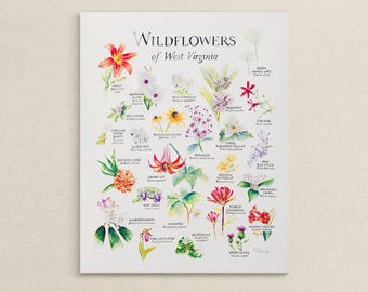 Wildflowers of West Virginia | Botanical Watercolor Print | Wildflower Print