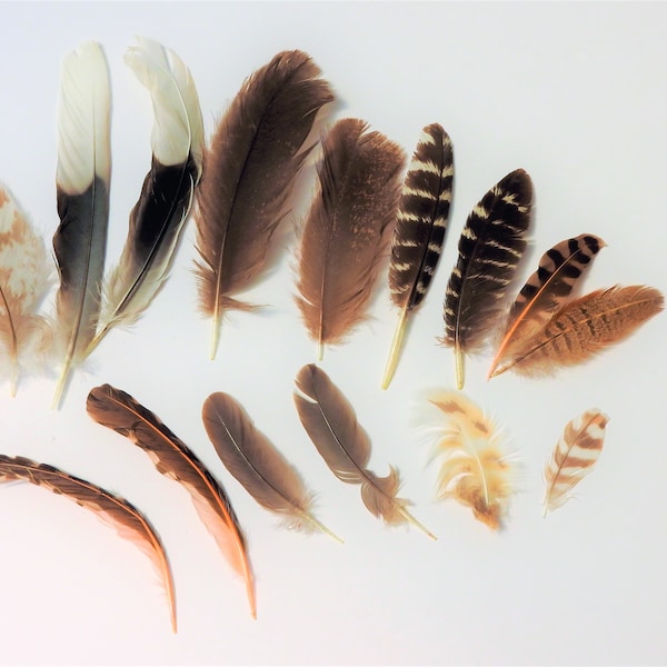 Fly Tying Feathers Etsy