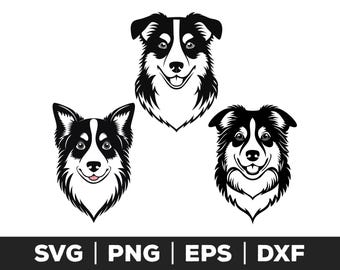 Australian Shepherd SVG, Australian Shepherd PNG, Australian Shepherd EPS, Australian Shepherd Cut Files for Cricut, Silhouette, Dog svg