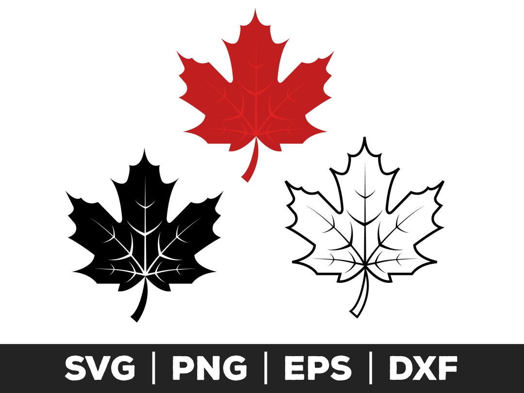 Maple Leaf Svg, Png, Eps, Canadian Leaf, Maple Svg, Canada Clipart ...
