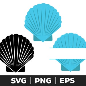 Seashell svg, png, eps, Sea shell clipart, Seashell cut files sea shell, summer svg, beach svg, shell svg, digital download, commercial use
