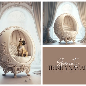 Egg Chair Background, Overlays, fantasy location, digital, pet portrait, new born, photoshop,