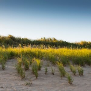 Beach Photography, Dune Wall Art, Hither Hills, Montauk, New York, Photography Print, Home Decor, Signed Wall art by James Katt Photography