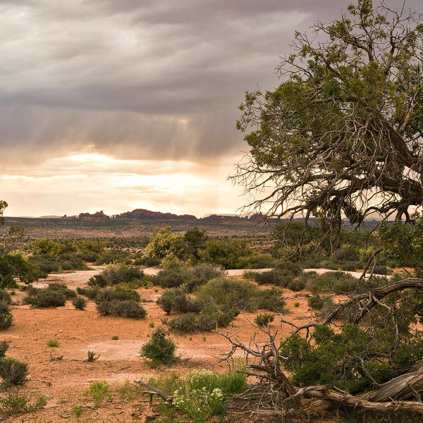 Moab Utah, Arches National Park, Storm, Desert, Photography Print, American Southwest, Signed Wall Art by James Katt Photography