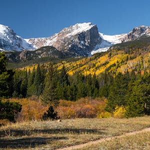 Álamos de otoño en las Montañas Rocosas, Hallett Peak, Parque Nacional de las Montañas Rocosas, RMNP, Impresión de fotografía firmada, Arte mural por James Katt Photography