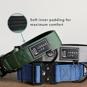 Modern Dog Collar, Adjustable Nylon, Heavy Duty Metal Buckle, Minimalistic Design