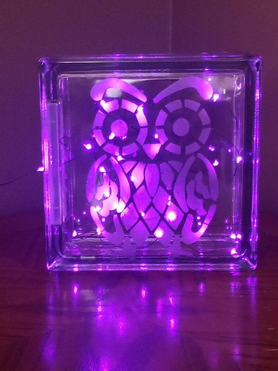 Decorative 8 X 8 Etched Glass Block Noah The Owl Custom Etsy