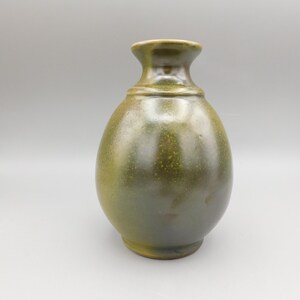 May include: A handcrafted, olive green ceramic vase with a rounded body and a narrow neck. The vase has a glossy finish and a subtle, speckled texture. The vase is approximately 8 inches tall, perfect for displaying flowers or as a decorative piece.