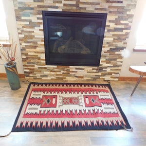 Beautiful old Navajo Rug with feathers and water bugs