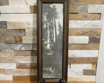 Arts and Crafts Tree Photo Mission Oak Frame