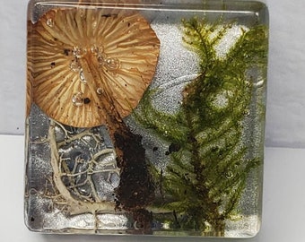 Mushroom Moss with Mirror Pigment, Square Resin Pendant