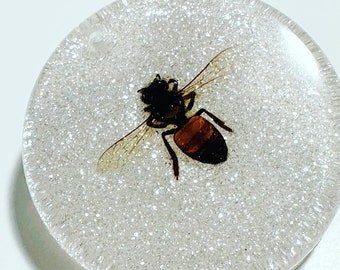 Majestic Bee Epoxy Resin Pendant