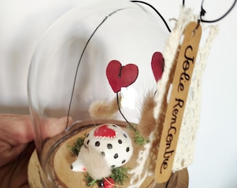 Szklany klosz, jeż, ładne spotkanie, wyjątkowy egzemplarz