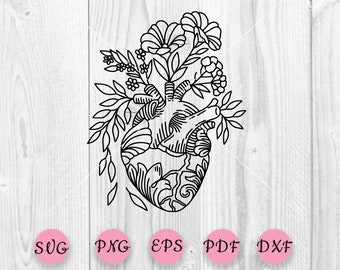 Download Anatomical Heart Svg Etsy