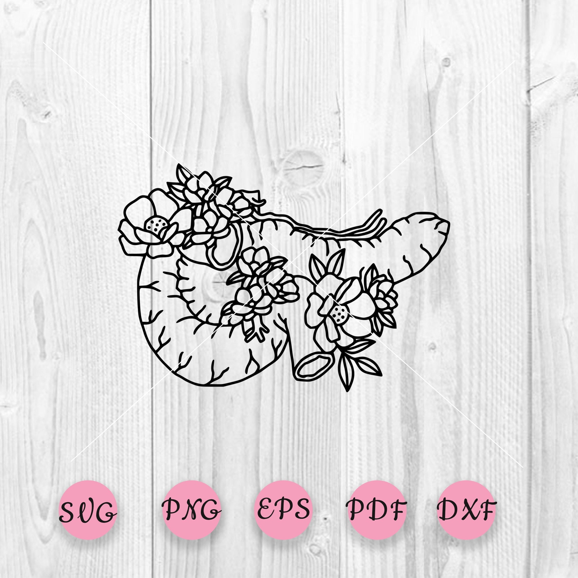 Human Pancreas Svg Anatomical Pancreas With Flowers SVG. - Etsy UK