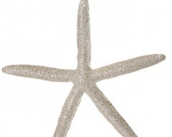 6 inch plastic starfish leggy starfish frosted starfish ornament beach ornament coastal ornament seashell ornament