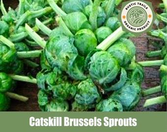 Catskill Brussels Sprouts - None GMO - Heirloom