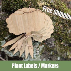 May include: A set of wooden plant labels with a natural finish. The labels are shaped like leaves and have a pointed end for easy insertion into the soil. The labels are tied together with twine.