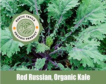 Red Russian Organic Kale Seeds - None GMO - Heirloom - also know as Tuscan kale, dinosaur kale and black kale