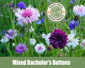 Bachelor's Buttons, Centaurea cyanus Heirloom Seeds