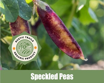 Organic Speckled Peas - Organic Seeds - None GMO - Heirloom