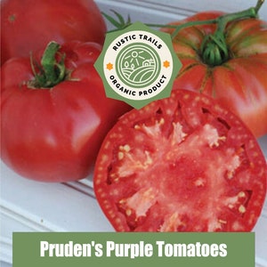 Pruden's Purple Organic Tomato Heirloom Seeds - non GMO -
