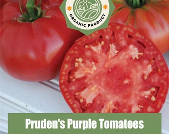 Pruden's Purple Organic Tomato Heirloom Seeds - non GMO -