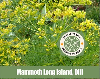 May include: Close-up of a green plant with yellow flowers. The plant is labeled "Mammoth Long Island, Dill" and has a sticker that says "Rustic Trails Organic Product".