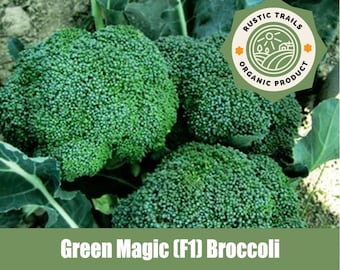 Green Magic, (F1) Broccoli Organic Heirloom Seeds - non GMO -
