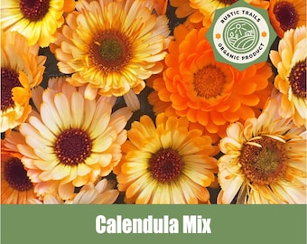 Calendula Mix - Pot Marigold - Asteraceae  - Organic - Heirloom non GMO Seeds