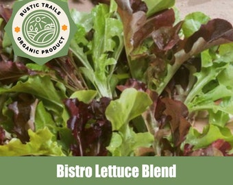 Bistro Lettuce Blend Seeds - Organic- None GMO - Heirloom