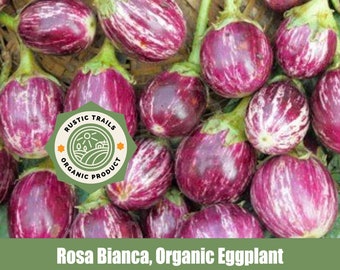 Organic Rosa Bianca Eggplant Heirloom Seeds non GMO