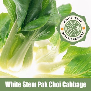 White Stem Pak Choi (Bok Choy) Cabbage Organic Heirloom Seeds - non GMO -
