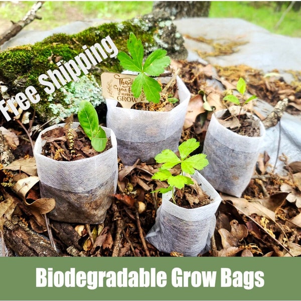 Seedling Pots, Biodegradable Grow Sacks, Seed Starter Pots, Bags, 6 Bags, Grow Seeds for your Garden in these Pouches, Party Favors
