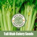 see more listings in the Seeds - Vegetable section