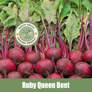 May include: A close-up of a bunch of Ruby Queen beets, with their leafy greens and red stems. The beets are fresh and vibrant, with a rustic trails organic product label.