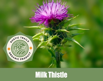 Milk Thistle, Silybum marianum, Organic - Heirloom - non GMO Seeds