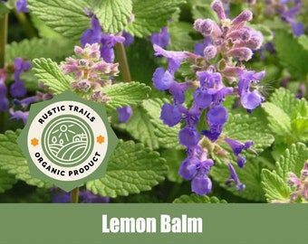 Lemon Balm - Melissa officinalis - Organic - Heirloom non GMO Seeds