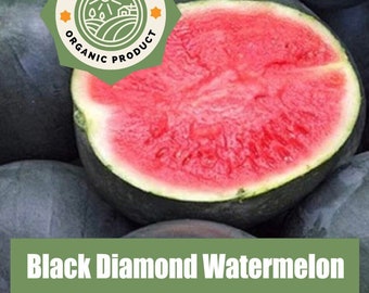 Black Diamond Watermelon Seeds - Heirloom Non GMO Seeds - Fresh USA Grown Seeds