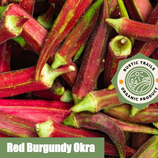 Red Burgandy Organic Okra Seeds - None GMO - Heirloom - USA