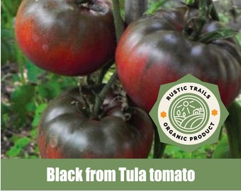 Black from Tula Tomato - Organic Heirloom Seeds - non GMO -