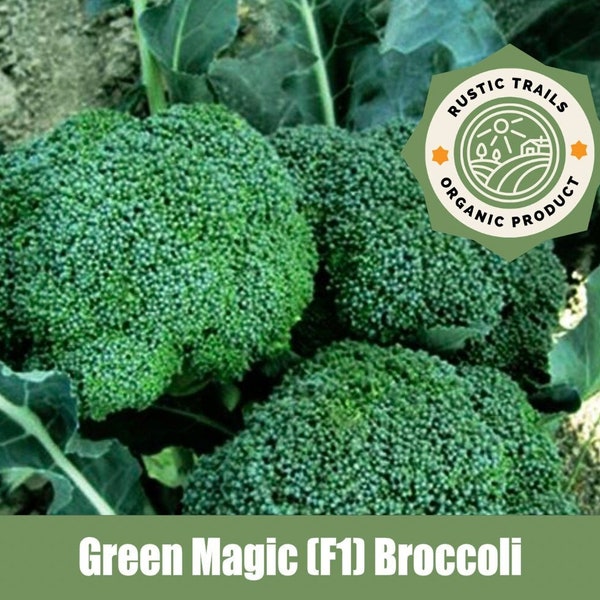 Green Magic, (F1) Broccoli Organic Heirloom Seeds - non GMO -