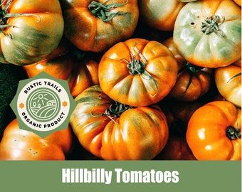 Hillbilly Tomato- Organic Heirloom Seeds - non GMO -