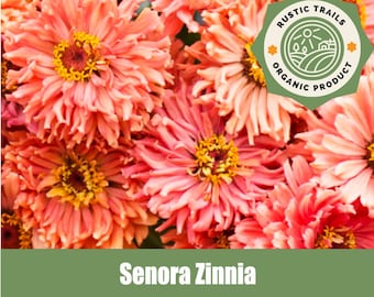 Zinnia Senora Peach - Heirloom - non GMO Seeds