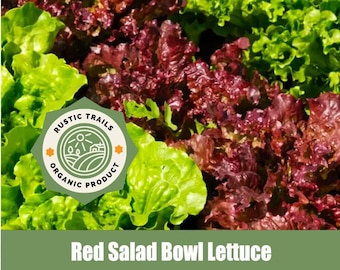 May include: Close-up of red and green lettuce growing in a garden. The lettuce is fresh and vibrant, with a rustic trails organic product label in the foreground.
